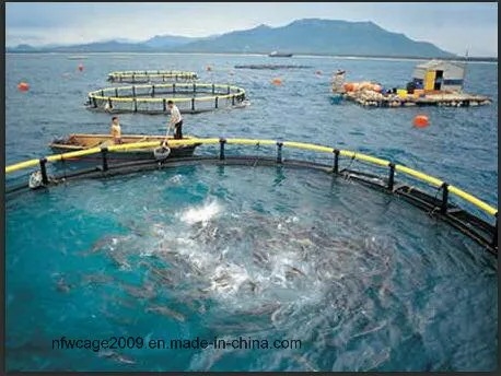 HDPE Floating Fish Cage 10m-50m Diameter with 200mm-400mm Pipe