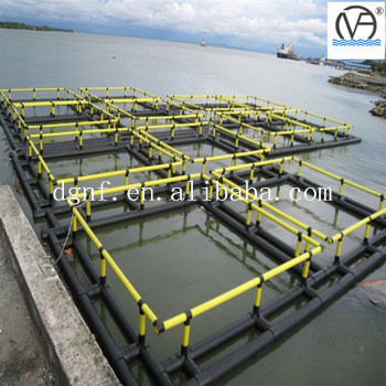 HDPE Fish Cage 10m-50m Diameter for Lake Farming