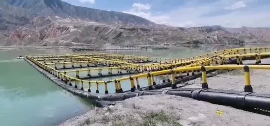 HDPE Fish Cage 10m-50m Diameter for Lake Farming