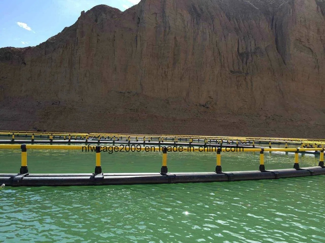 HDPE Circular Fish Cage 10m-50m Diameter with PE Knotless Net