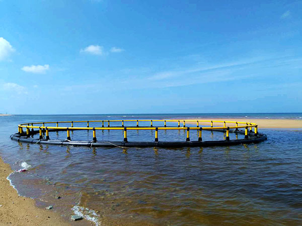 HDPE Circular Fish Cage 10m-50m Diameter with PE Knotless Net