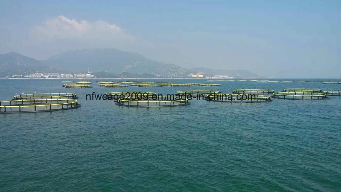 HDPE Circular Fish Cage 30m-50m Diameter with 200mm-400mm Floating Pipe