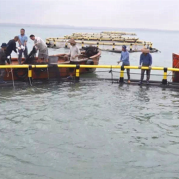 HDPE Circular Fish Cage 13m-50m Diameter for Tilapia Farming