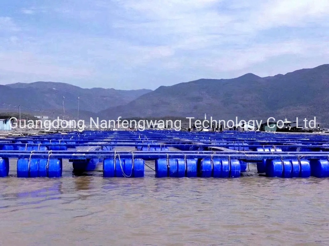 Square Fish Farming Cage with 12 Grade Typhoon Resistance and 15 Years Lifespan for Aquaculture