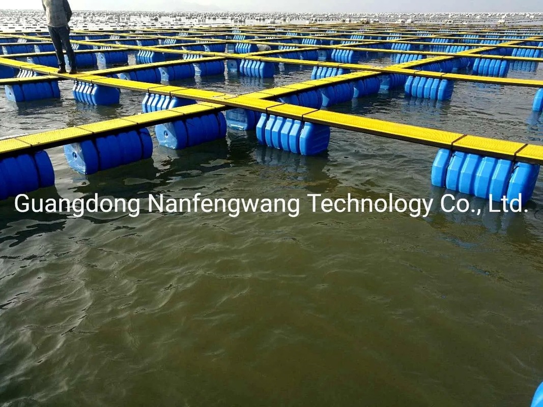 PE/Nylon Net Flexible Fish Farming HDPE Fish Farming Floating Pontoon in Lake