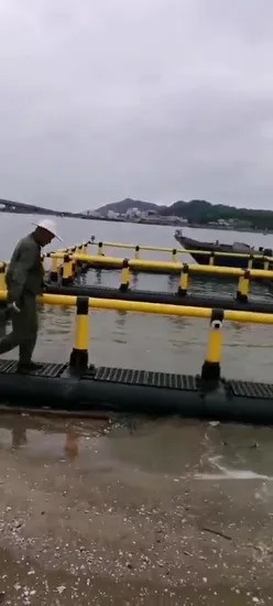 Square Fish Cage with 3m*3m - 10m*10m Size and Marine Special HDPE Pipe for Lake Farming