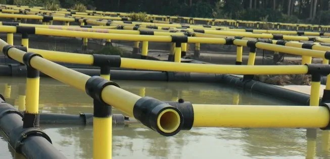 Square Shape Floating Net Cage 3m*3m-12m*12m Aquaculture Fish Cage in Black and Yellow for Tilapia Farming