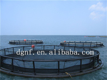 HDPE Circular Fish Cage with 50-Year UV Resistance and -60°C/+80°C Temperature Range for 50000 Ton Aquaculture Production