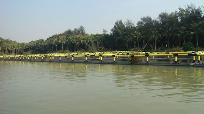 HDPE Circular Fish Cage with 50-Year UV Resistance and -60°C/+80°C Temperature Range for 50000 Ton Aquaculture Production