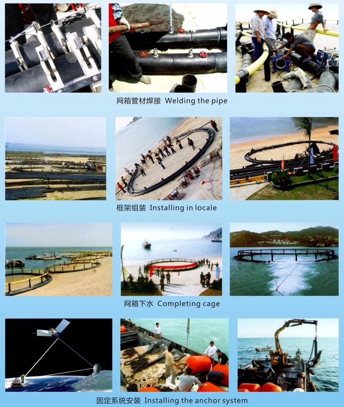 Customizable Circular Fish Cage with Grid Mooring System and Black and Yellow HDPE Pipe for Aquaculture