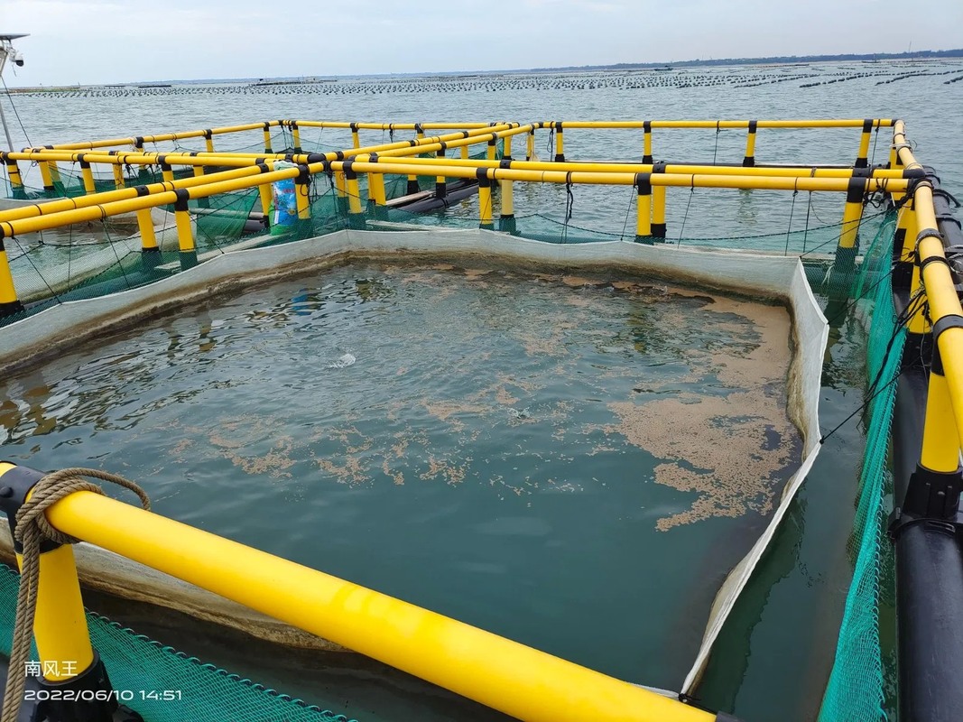 Square Fish Cage with HDPE Floating Pipe for Aquaculture Featuring 50-Year UV Resistance -60°C/+80°C Temperature Range and 50000 Ton Production Capacity