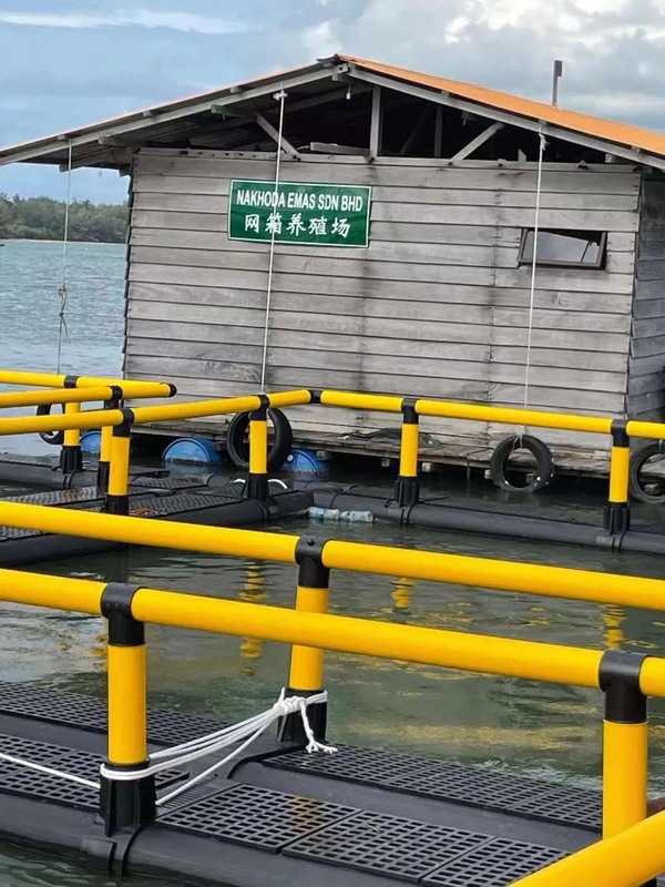 Square Fish Cage with HDPE Floating Pipe for Aquaculture Featuring 50-Year UV Resistance -60°C/+80°C Temperature Range and 50000 Ton Production Capacity