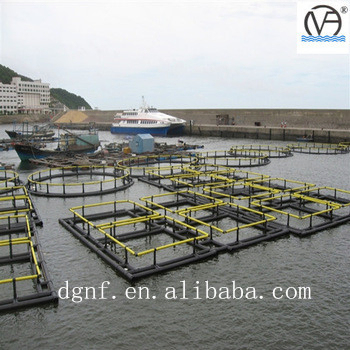 HDPE Fish Farming Cage with 50000 Ton Production Capacity and 50-Year UV Resistance for Preference Temperature -60°C/+80°C