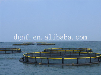 HDPE Fish Farming Cage with 50000 Ton Production Capacity and 50-Year UV Resistance for Preference Temperature -60°C/+80°C