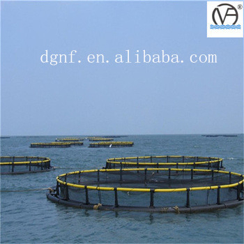 HDPE Fish Farming Cage with 50000 Ton Production Capacity and 50-Year UV Resistance for Preference Temperature -60°C/+80°C