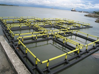 Resistant Storm HDPE Floating Fish Cage with Hydraulic Power Source for 4sq. m to 200sq. m Aquaculture