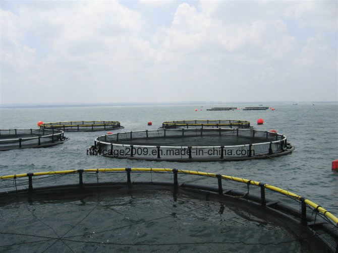 Polyethylene Floating Fish Cage with 15-Year Lifespan and 12-Grade Typhoon Resistance for 4sq. m to 200sq. m Aquaculture