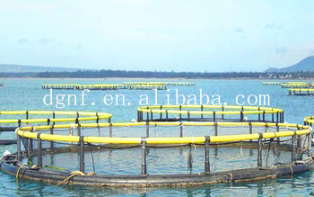 HDPE Floating Fish Cage with 50-Year UV Resistance and -60°C/+80°C Temperature Range for Deep Sea Aquaculture