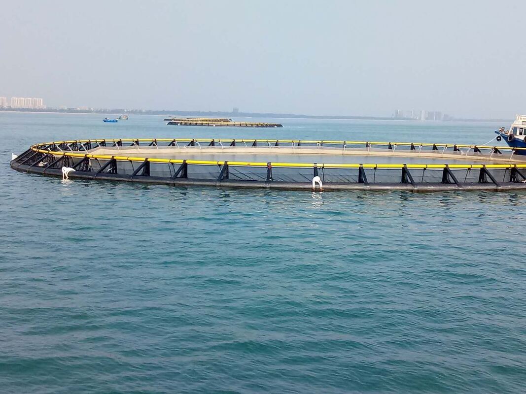 High-Strength & Anti-Corrosion, Circular Fish Cage With HDPE 315mm Bracket For Stable Deep-Water Aquaculture In Lakes, Delivery In Two Weeks After Deposit Received