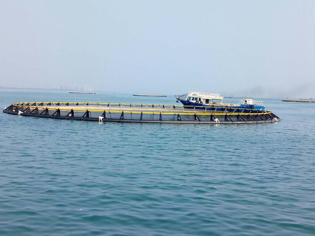 High Strength HDPE Ultrafort Circular Fish Farming Cage 160m For Marine Fish Farming