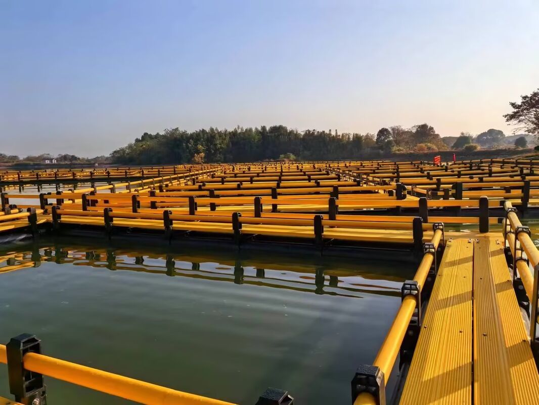 10×10m Combined Square Fish Cage (315mm Main Floating Pipe)