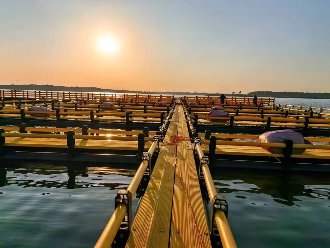 10×10m Combined Square Fish Cage (315mm Main Floating Pipe)