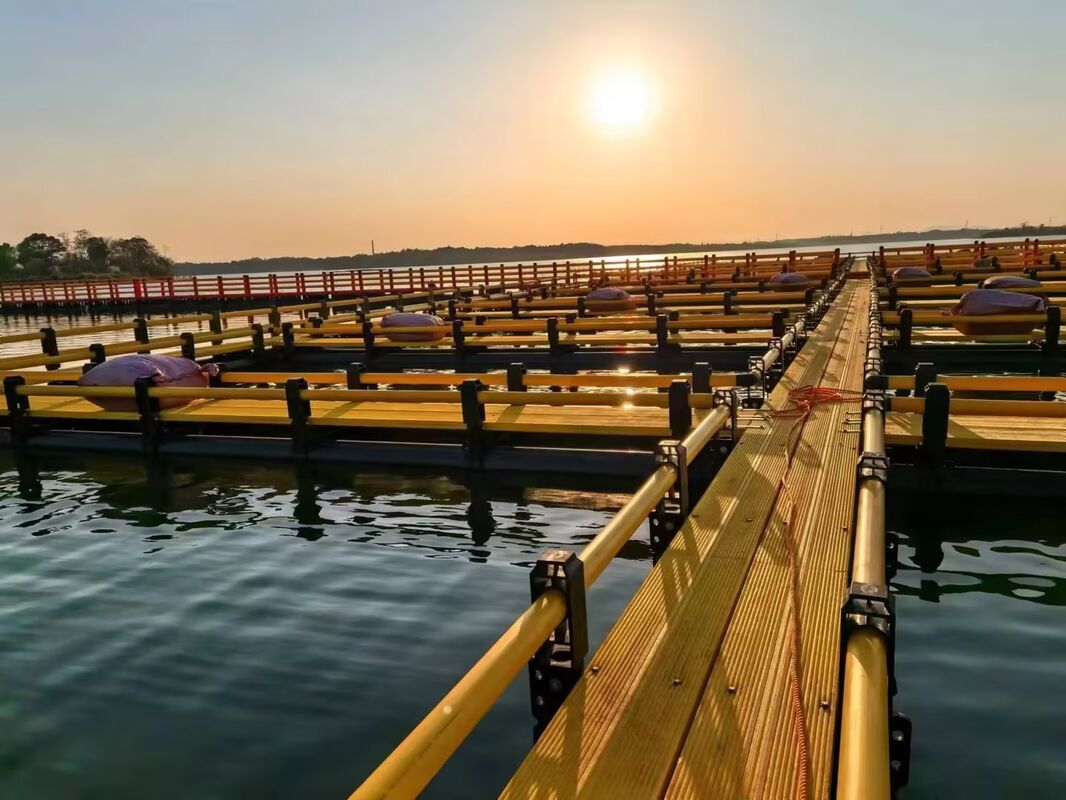 HDPE Custom Service Combined Square Fish Cage (200/315/400mm Main Floating Pipe) online consultation