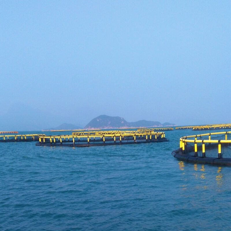 Heavy Duty HDPE Deep Water Fish Cage Anti-Typhoon For Offshore Farming