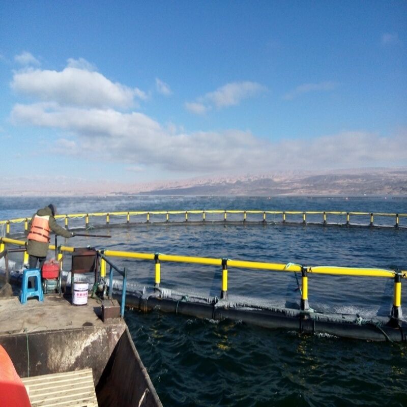 Heavy Duty HDPE Deep Water Fish Cage Anti-Typhoon For Offshore Farming