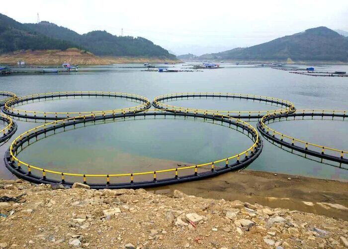 High Strength HDPE Anti-Wave Deep Sea Fish Cage For Mariculture