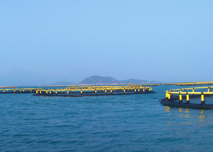 High Strength HDPE Anti-Wave Deep Sea Fish Cage For Mariculture