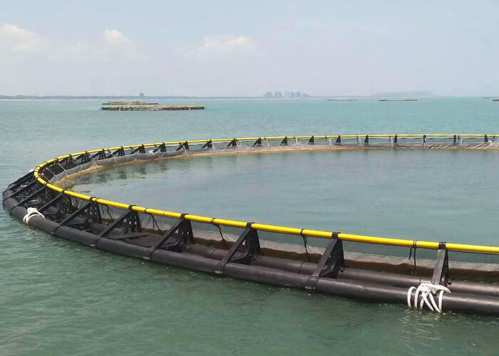 Deep Sea Anti Wave HDPE Fish Cage For Tilapia Shrimp Farming