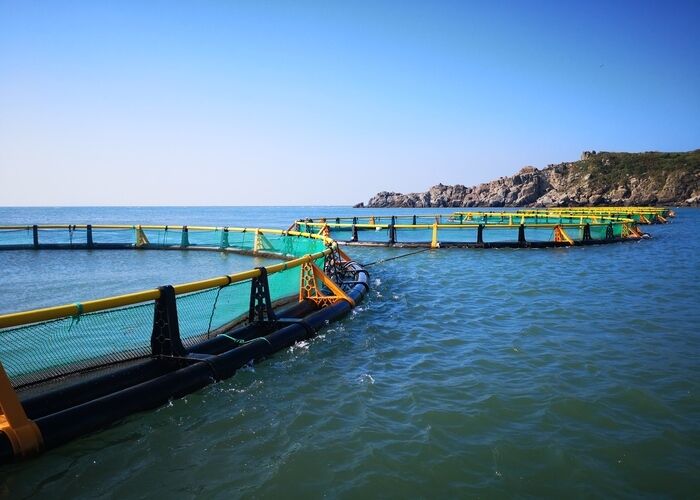 Deep Sea Anti Wave HDPE Fish Cage For Tilapia Shrimp Farming