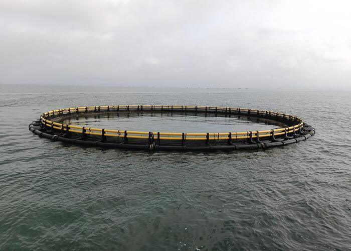 Integrated Injection Molding HDPE Fish Cage Offshore Mariculture
