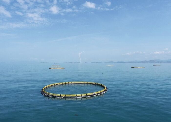 Heavy Duty HDPE Floating Fish Cage Anti Typhoon For Aquaculture