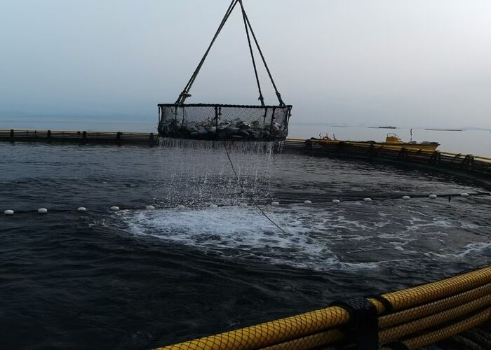 High Strength HDPE Aquaculture Cage Floating Fish Farming Equipment