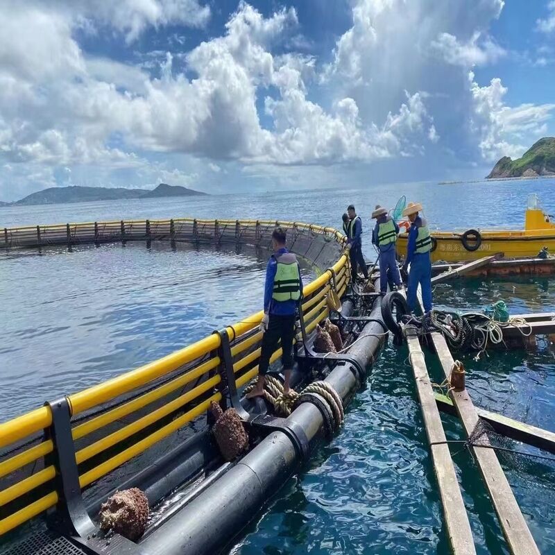 Round Aquaculture Cage Integral Injection Molding HDPE Solid Frame High Durability Wind Resistant for Marine Farming