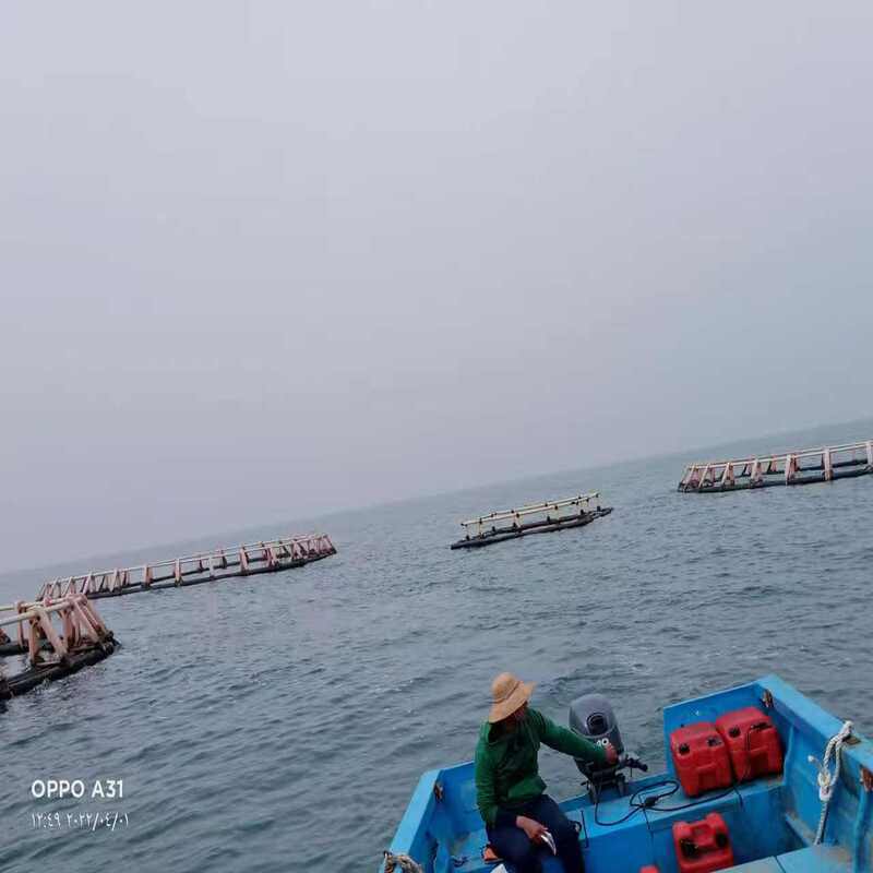 HDPE Fish Cage Floating Platform Integrated Molding Seamless Frame Anti Aging Impact Resistant For Offshore Breeding