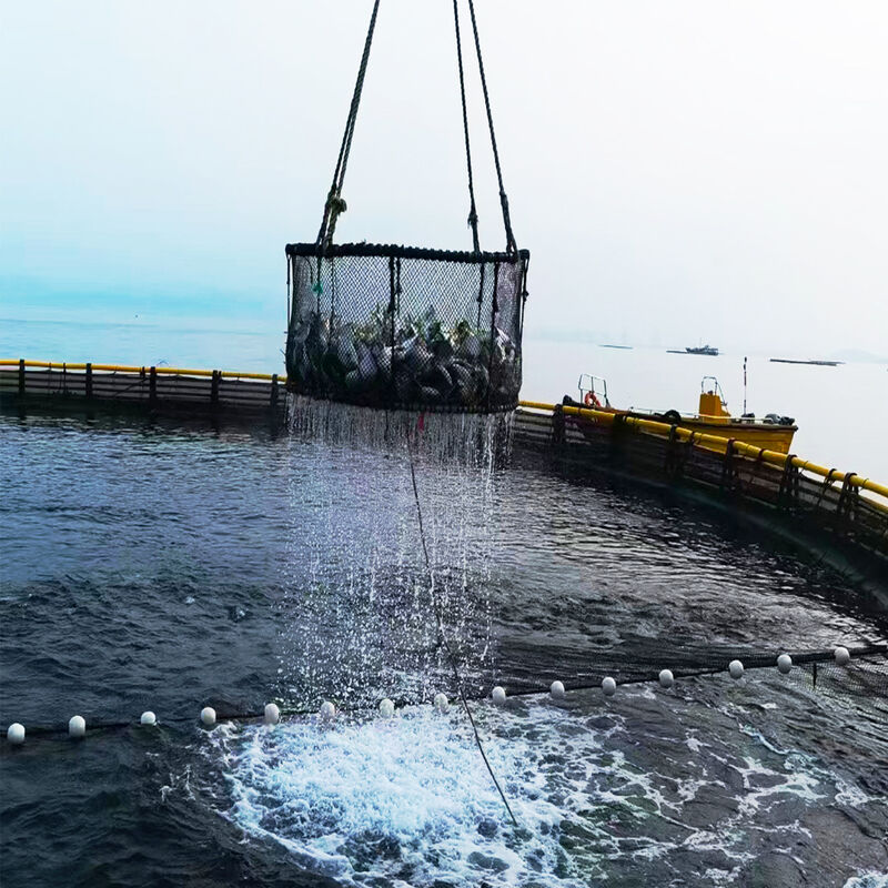 HDPE Fish Cage Floating Platform Integrated Molding Seamless Frame Anti Aging Impact Resistant For Offshore Breeding