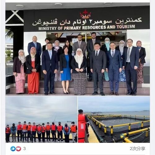 New production technology released for 2026 fish cages, welcome to consult price