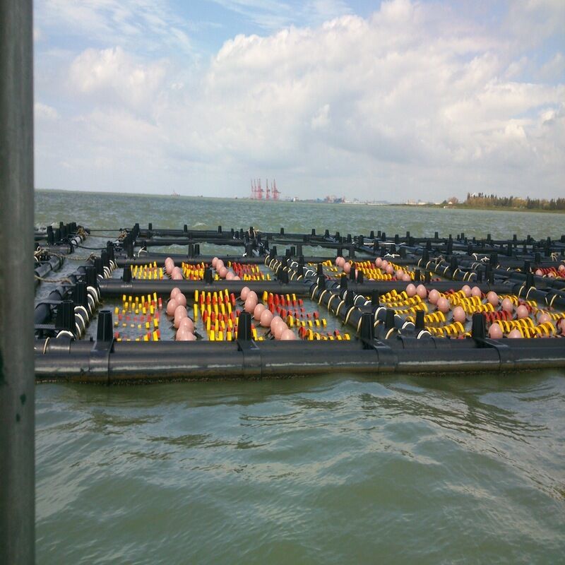 Square HDPE Floating Fish Cage For River Sea Aquaculture