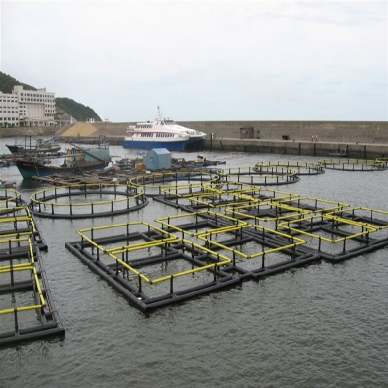 Large Size Square Fish Farming Cage Commercial Aquaculture Net Cage