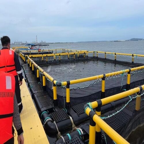 Large Specification Square Floating Fish Cage Weather Resistant HDPE Aquaculture Net Cage for Tilapia and Shrimp