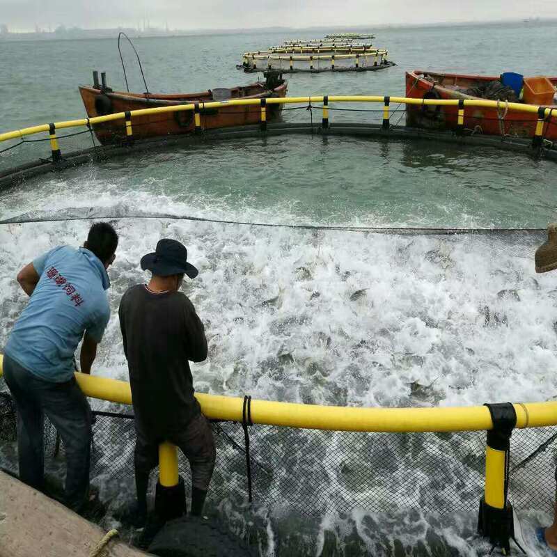 Custom Round Floating Aquaculture Cage Wind Corrosion Resistant Fish Net Cage Complete Accessories for Tilapia Large Scale Breeding