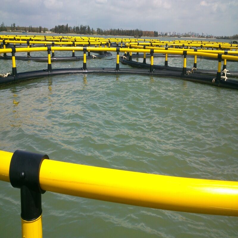 Custom Round Floating Aquaculture Cage Wind Corrosion Resistant Fish Net Cage Complete Accessories for Tilapia Large Scale Breeding