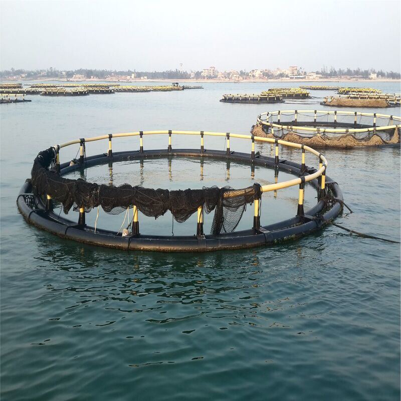 HDPE Floating Fish Cage with Integrated Anti-Bird Anti-Escape Structure and Strong Corrosion Resistance for Aquaculture Diameter 10m - 60m