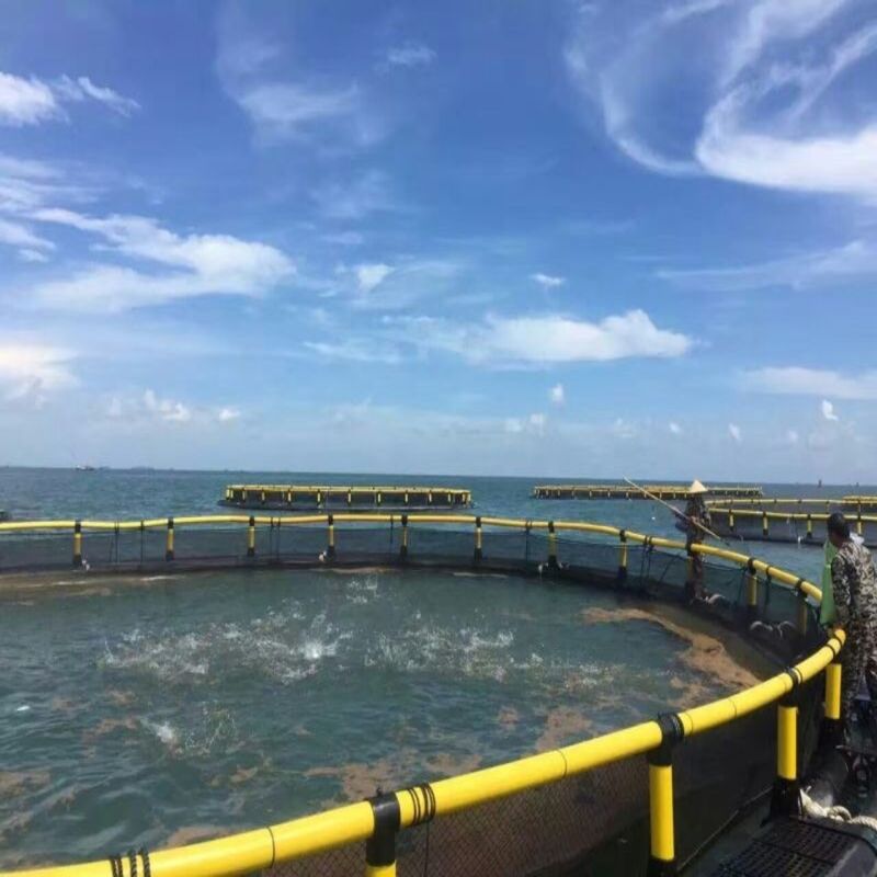 Large Round Floating Fish Cage Weather Resistant Commercial Aquaculture Net Cage for Tilapia and Shrimp High Density Farming