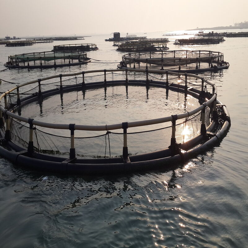 Large Circular Floating Net Cage Wind Wave Resistant Commercial Aquaculture Cage for Tilapia Shrimp Lake Pond Farming