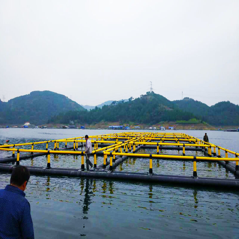 Large Size Square Floating Net Cage Offshore Fish Breeding Equipment
