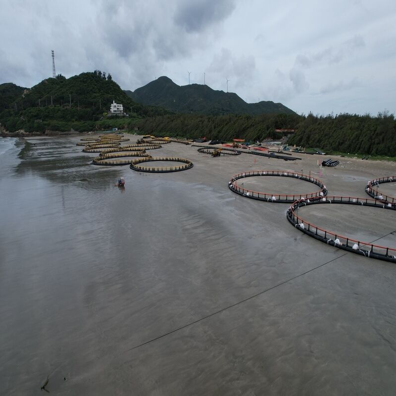 Large Circular Net Cage Tilapia Farming Cage with Full Accessories
